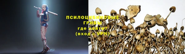гашик Арсеньев