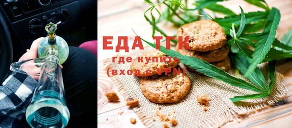 гашик Арсеньев