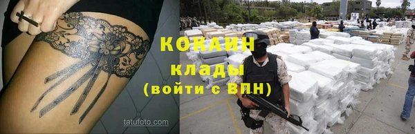 гашик Арсеньев